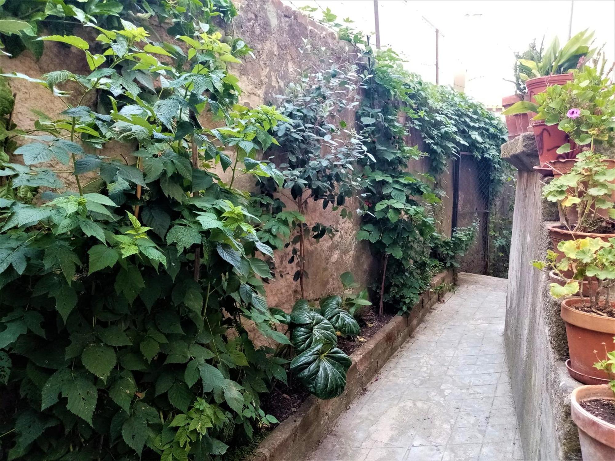 Casa Da Judiaria Velha Ap Daire Viseu Dış mekan fotoğraf