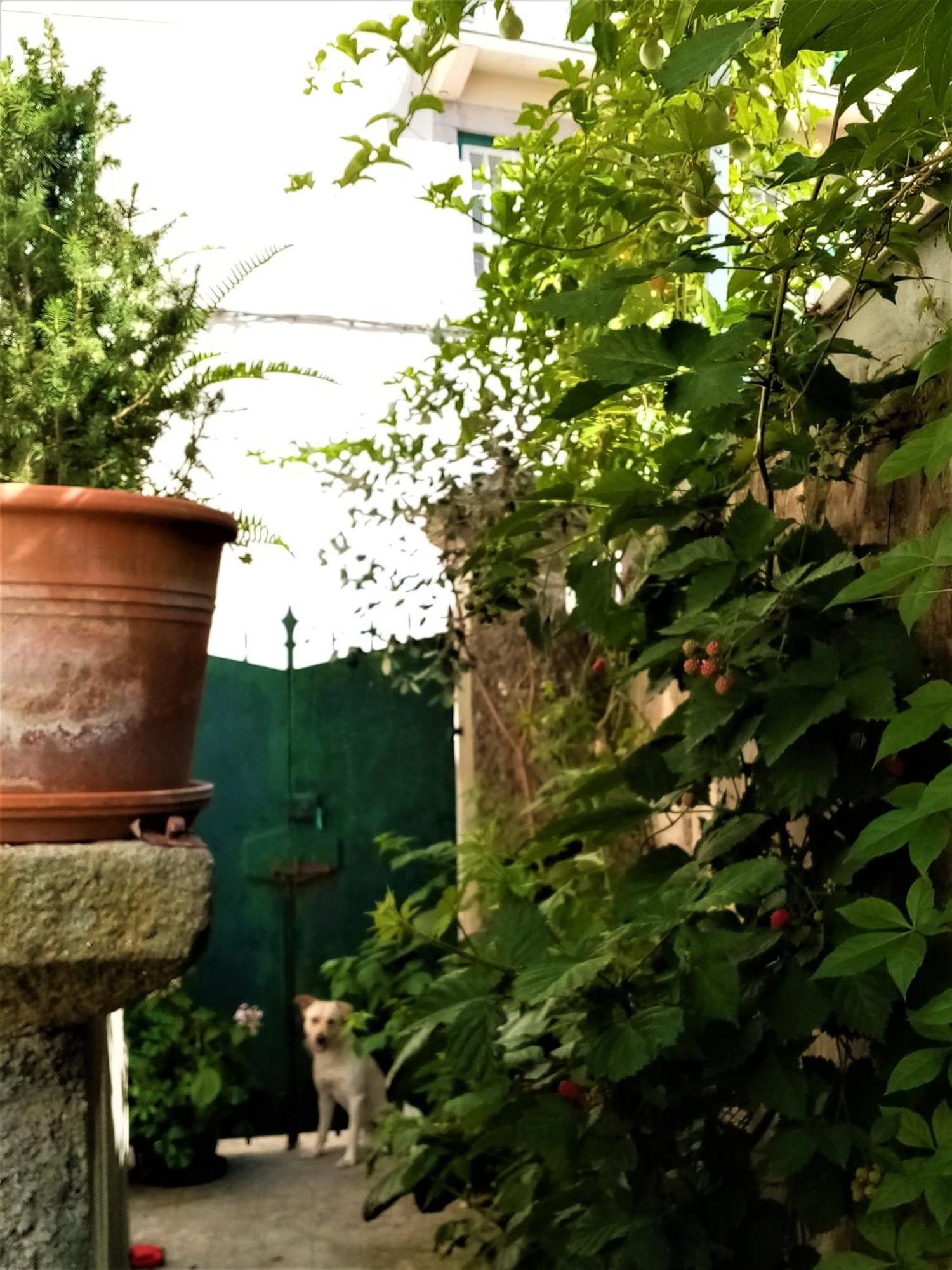 Casa Da Judiaria Velha Ap Daire Viseu Dış mekan fotoğraf