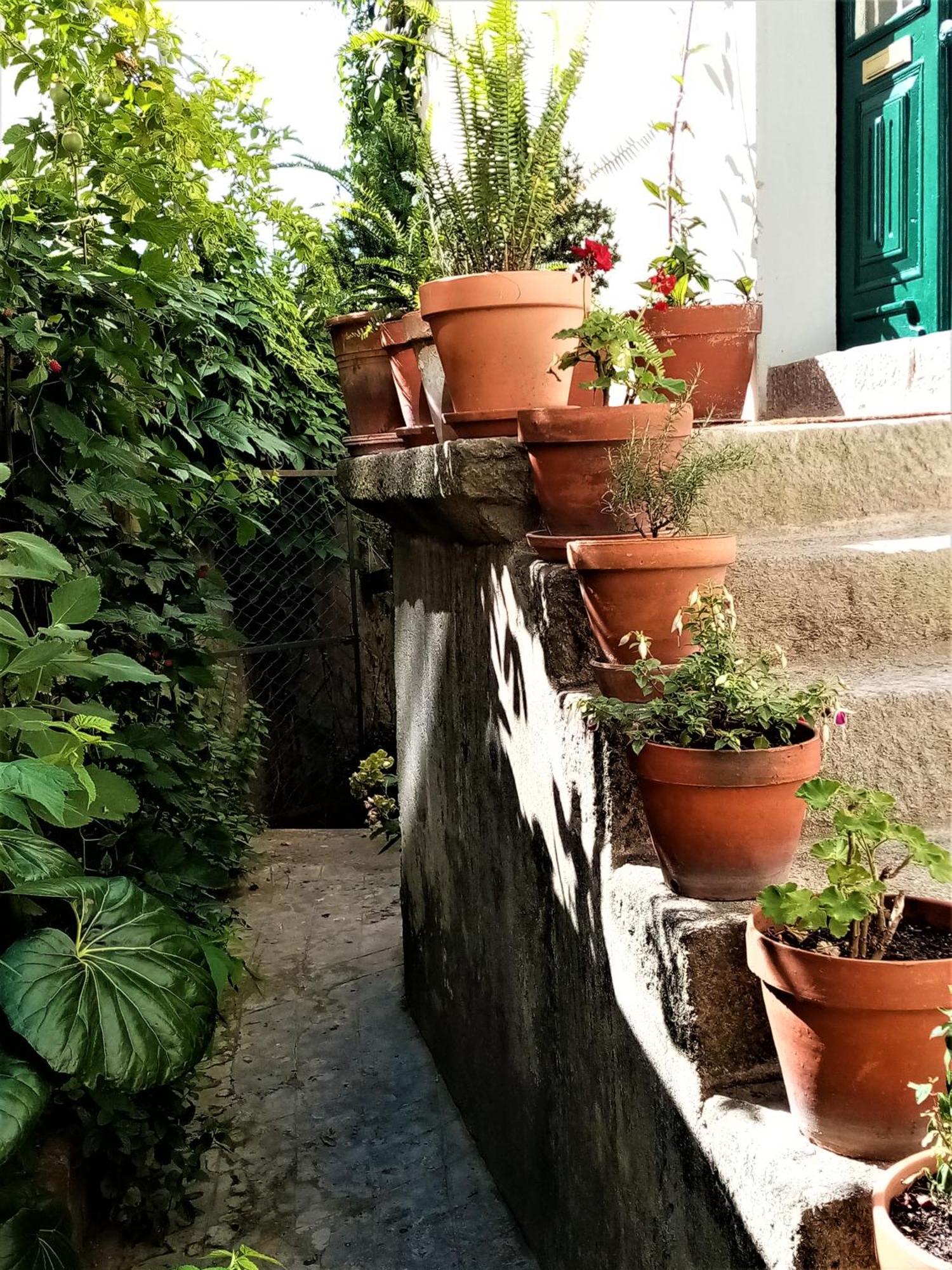 Casa Da Judiaria Velha Ap Daire Viseu Dış mekan fotoğraf